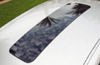 2006 Nissan Maxima SkyView Roof Picture